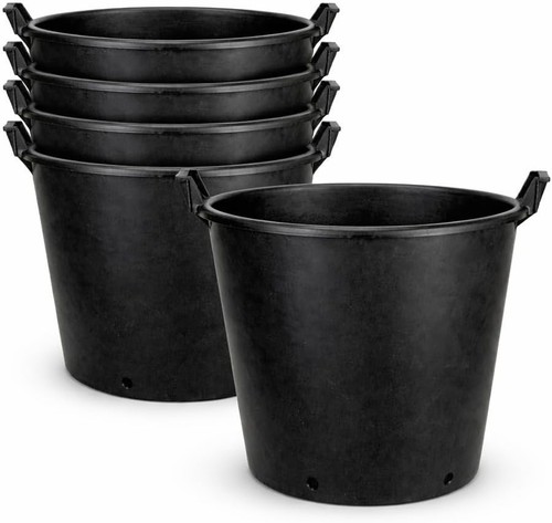 Litre large plant - 50,