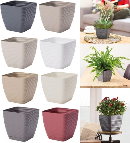 Plant pot flowerpot - plant, square