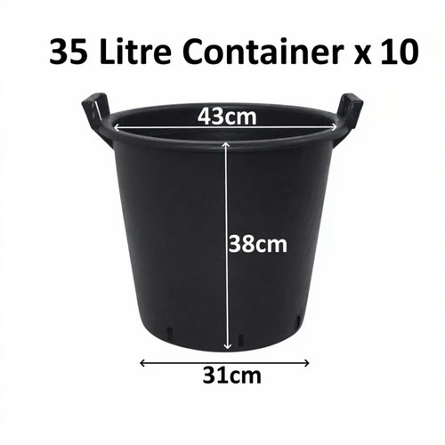 Litre plant tree - litre,