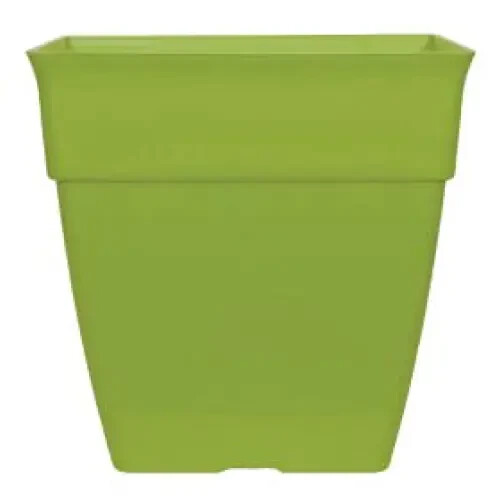 Litre large green plant - 26,