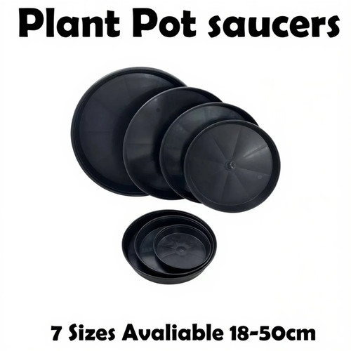 Plant pot saucers round - plant,
