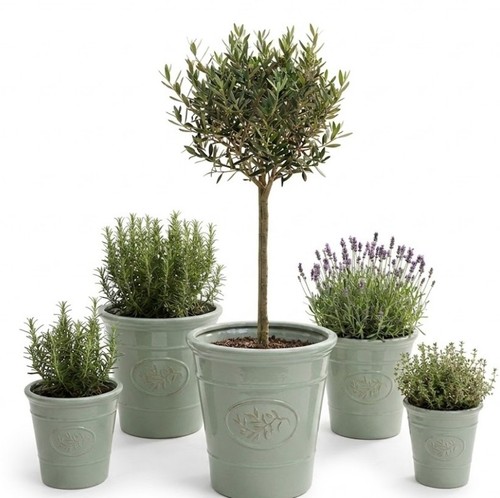 Green garden plant pots - green,