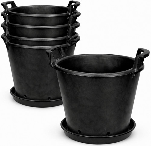 30l large plant - x,
