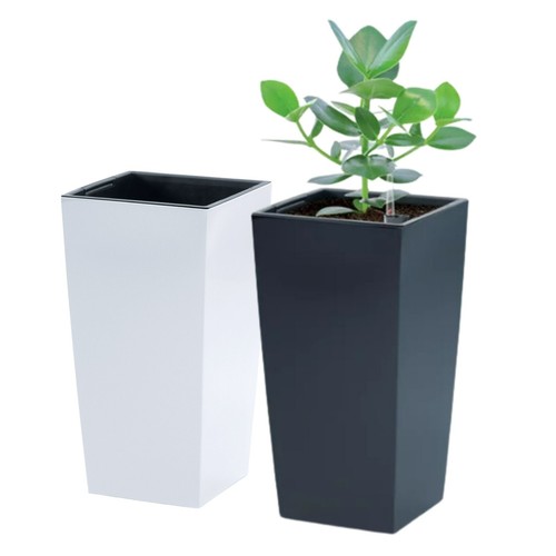 Tall planter plant pot flower - pot,