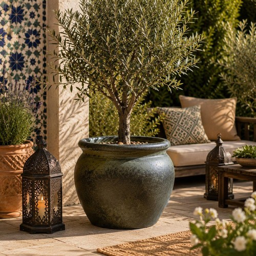 Verona large belly plant pot - belly,