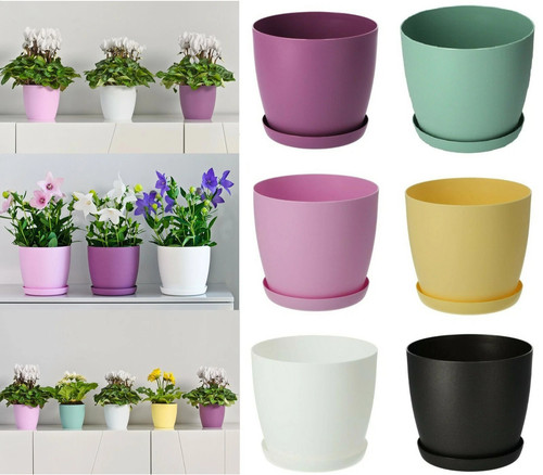 Plant pots flower - plant,