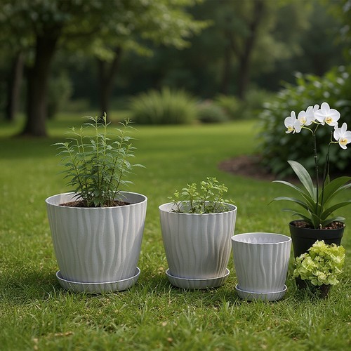 Set plant flower - set, pots