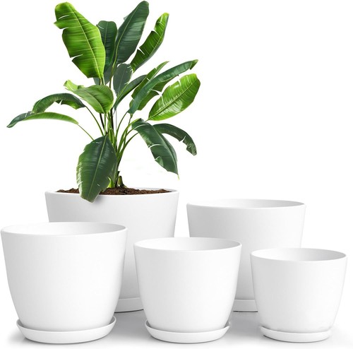 Set plastic plant - 5,