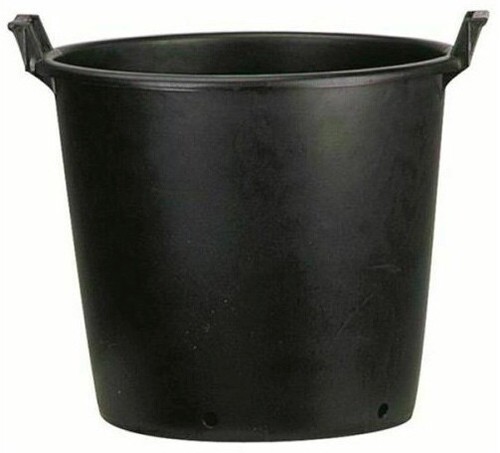 Litre extra large - litre, plant