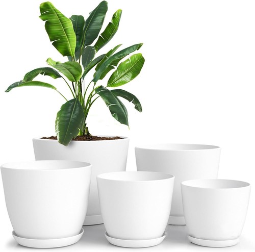 Set plastic plant - plant, pots