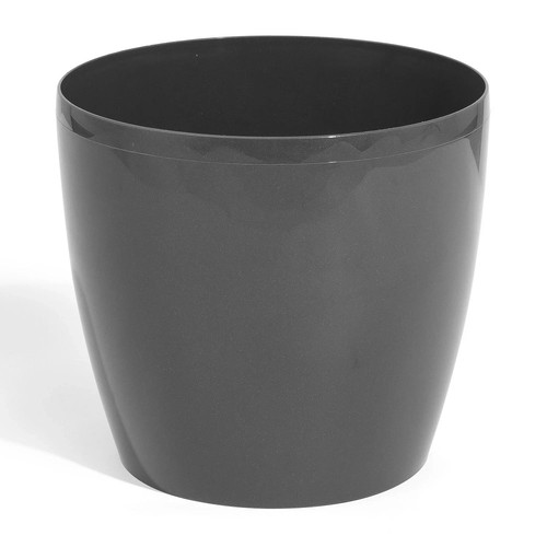 Large round plant - large, pot