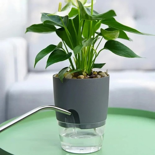 Transparent self watering - transparent,
