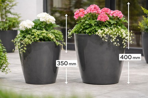 Round glossy plastic plant - plant, pot