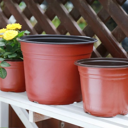 Black plastic plant - 2, 3