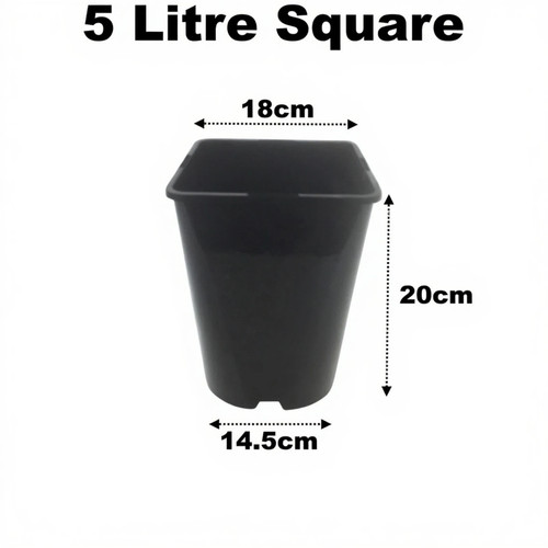 Litre square plant - square, pots