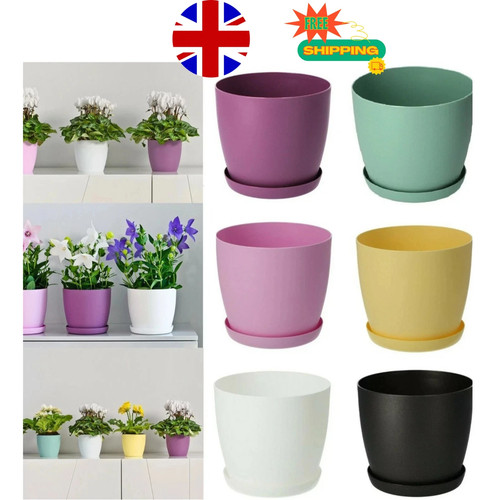 Plant pots flower - plant,
