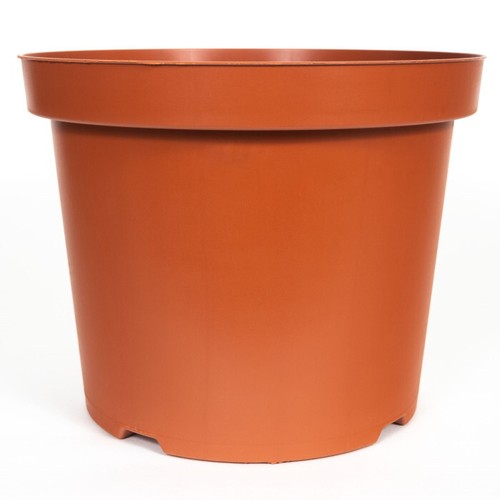 Plastic plant pot flower - plastic,
