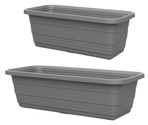 Grey trough plant - grey, long