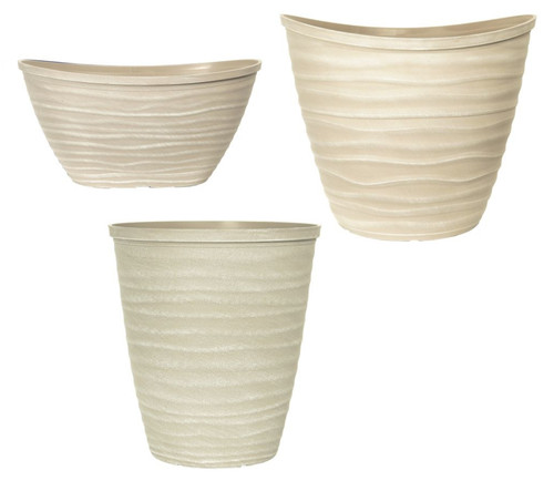 Small large grey plant - large, pot