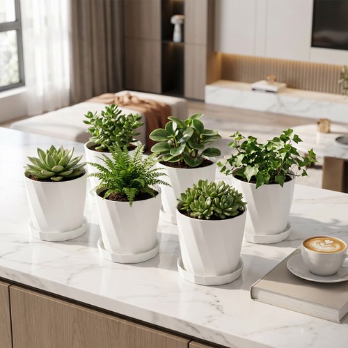 6pcs plant pots and - 6pcs,