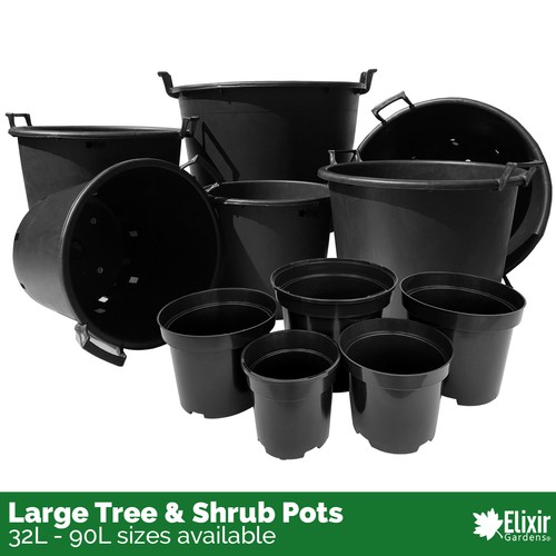 Large plant pot tree - pot,
