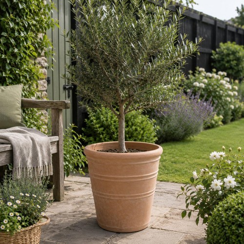 Tuscany plant pot - pot, indoor