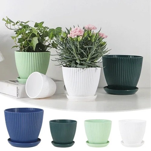 Plant pots indoor - plant, outdoor