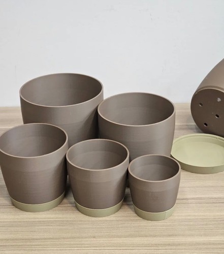 Plant pot with - plant,