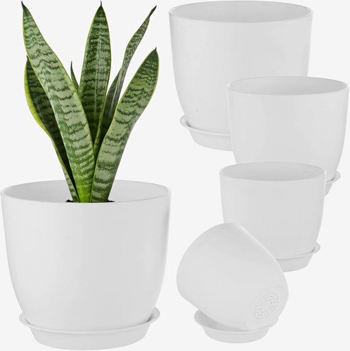 Pack plant pots with - plant,