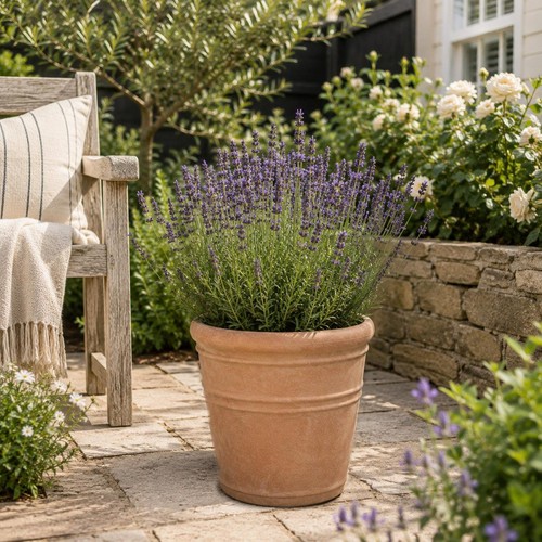 Tuscany plant pot - tuscany,