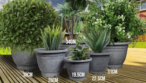 Large plastic round - plastic, plant