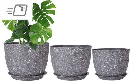 20cm plant pots indoor - plant,