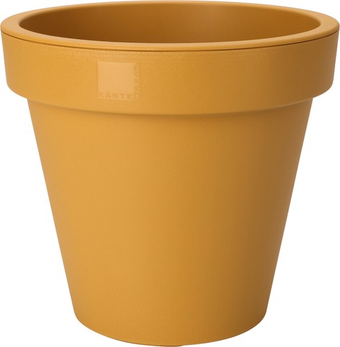 Yellow plant pot small - plant, large