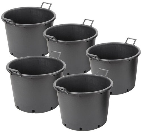Litre large plant - 50, pot