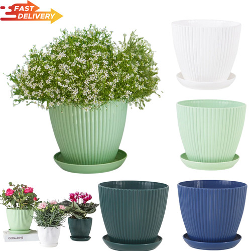 Plant pots indoor outdoor - indoor,