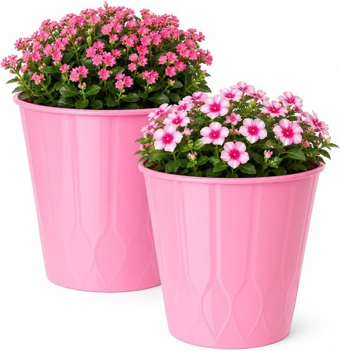 Pink plastic plant pots - plant, set