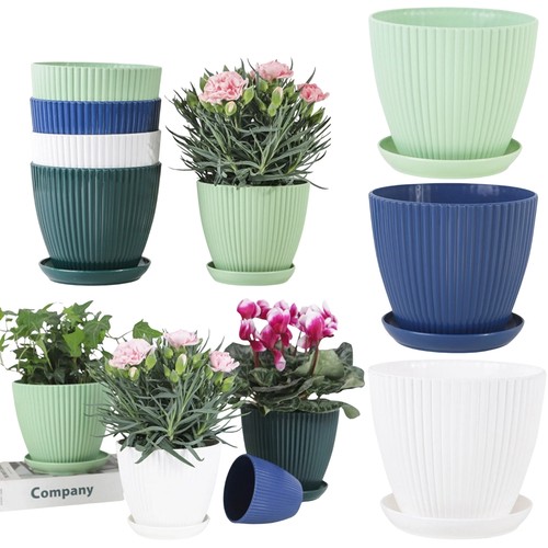 Plant pots indoor - plant, outdoor
